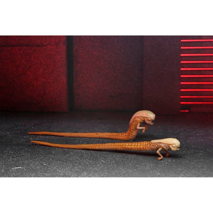 Accessory Set "Alien: Romulus (2024)", NECA