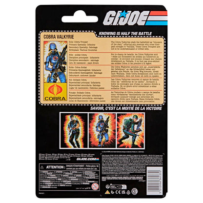 [PRV] Retro Cobra Valkyrie, G.I. Joe - Classified Series